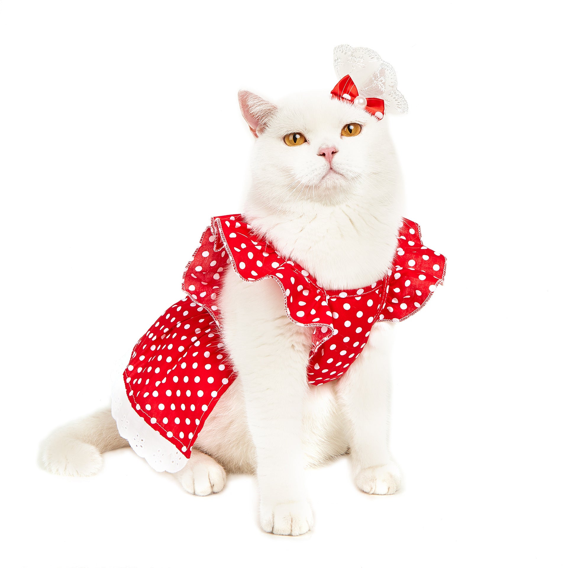 Hundekleid mit schwarzen und weißen Punkten – Niedlicher Prinzessinnen-Rock für kleine Hunde