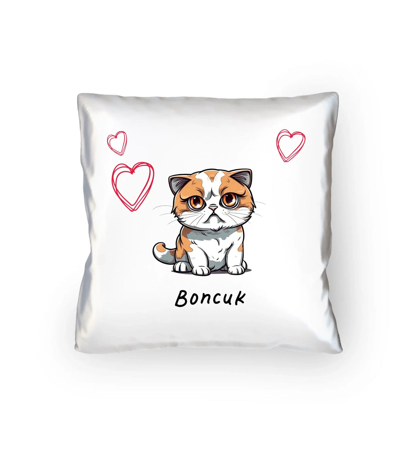 40x40 Personalisiertes Katzenkissen 2