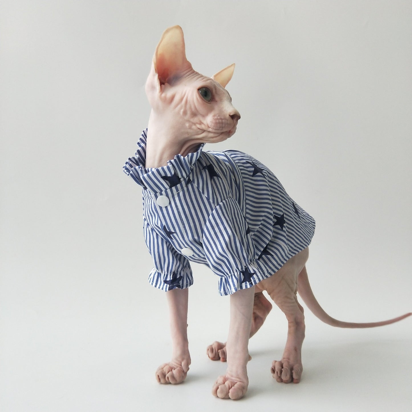 Dünnes Baumwollhemd für Sphynx-Katzen – Atmungsaktiv & Angenehm