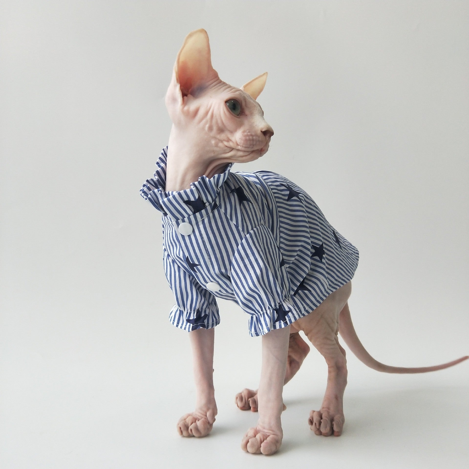 Dünnes Baumwollhemd für Sphynx-Katzen – Atmungsaktiv & Angenehm