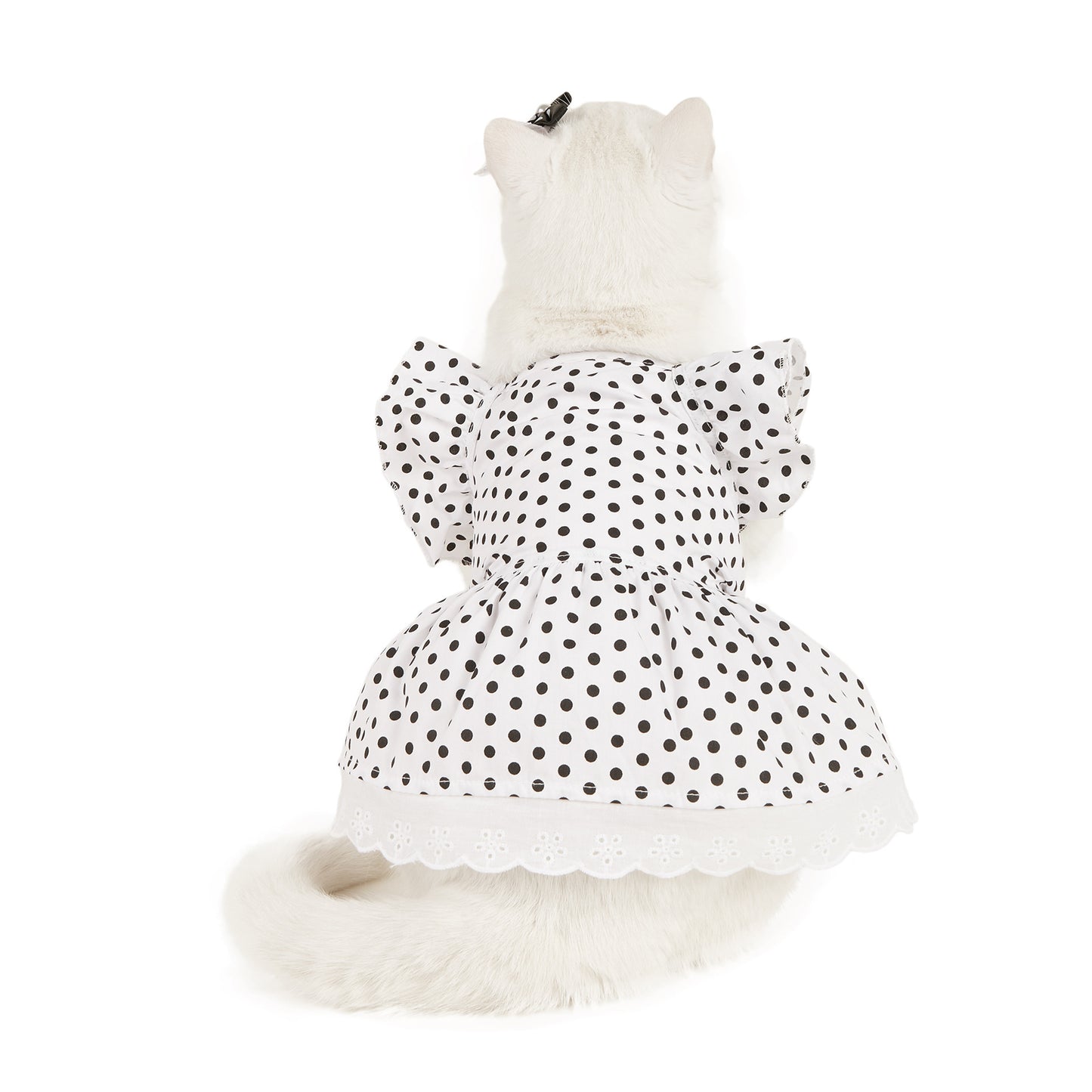 Hundekleid mit schwarzen und weißen Punkten – Niedlicher Prinzessinnen-Rock für kleine Hunde